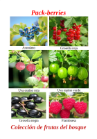 Pack-Berries 2